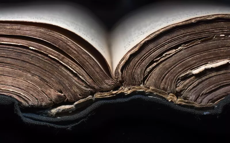 写的好真实，读到心碎