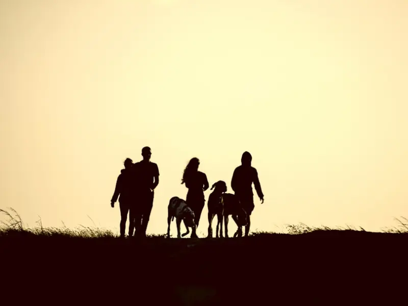 该上床睡觉了，还没约会成功怎么办？好累~