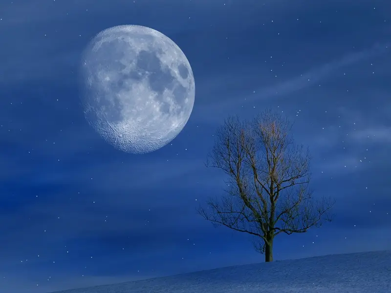 和男友分开半个月，还是有点舍不得他