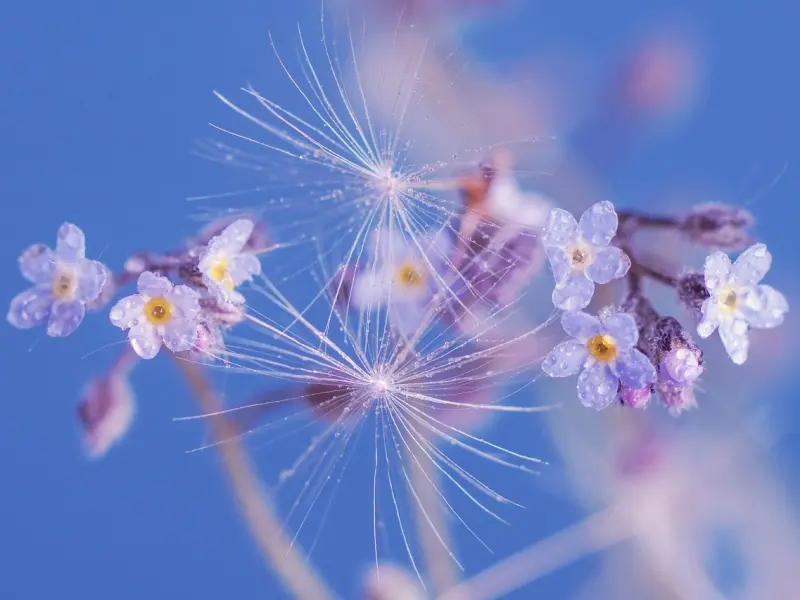 主动了这么久，我真的累了！拜拜！我们相忘于江湖！