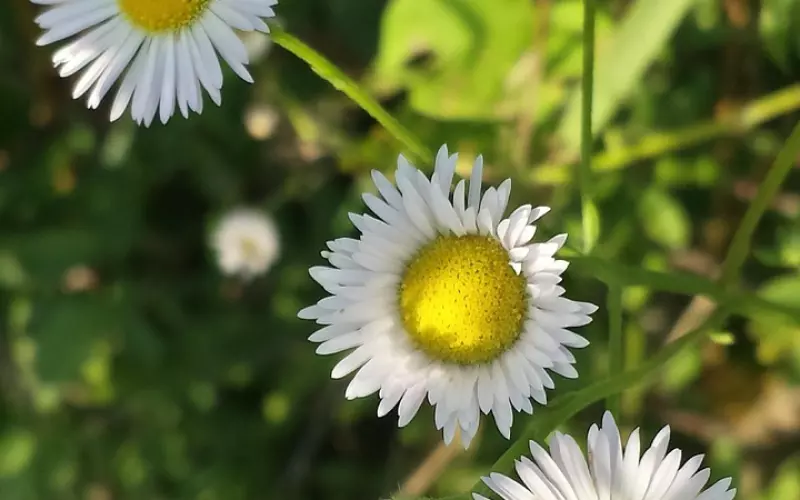 我为他做了那么多 他为什么不爱我？