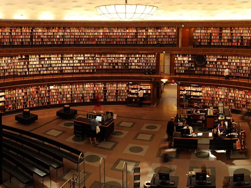 学了那么多情感知识，却没什么变化？