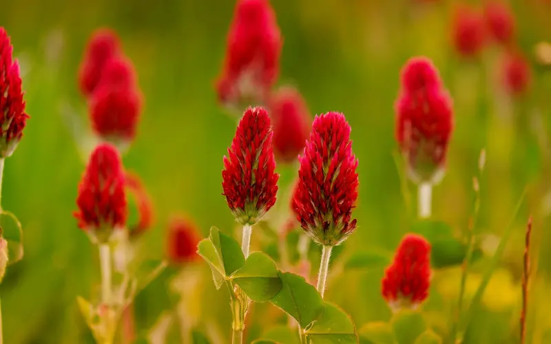 瞠目结舌：已婚男人力挺“小三”的四个优点？！