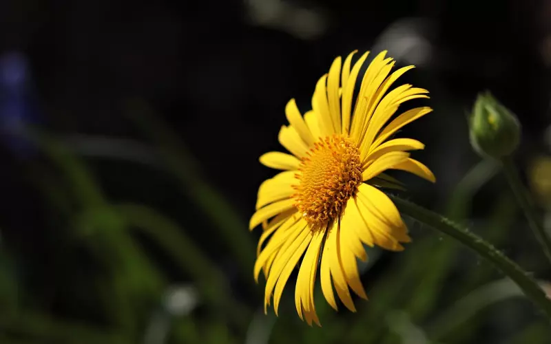蒋雯丽手撕邋遢女人：比起美丽的容貌，这点更加重要！