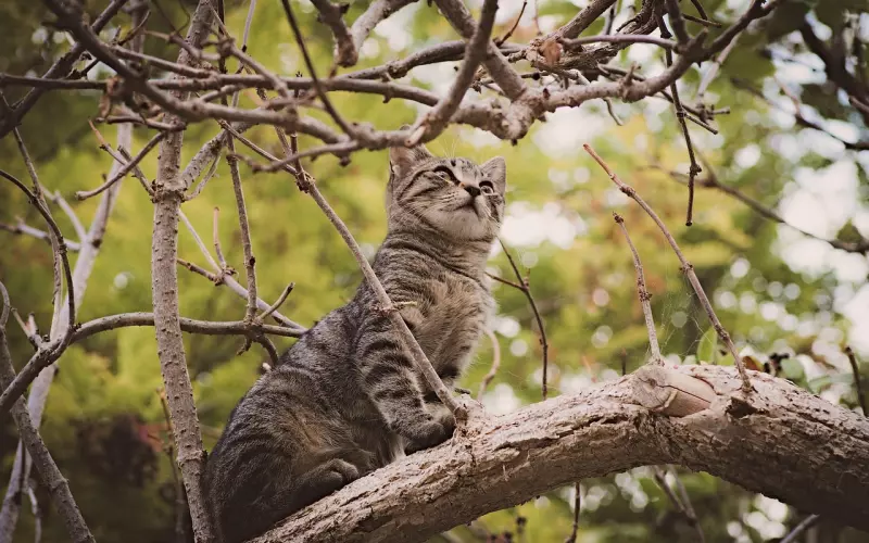 景甜张继科分手：什么样的感情，最容易变心？