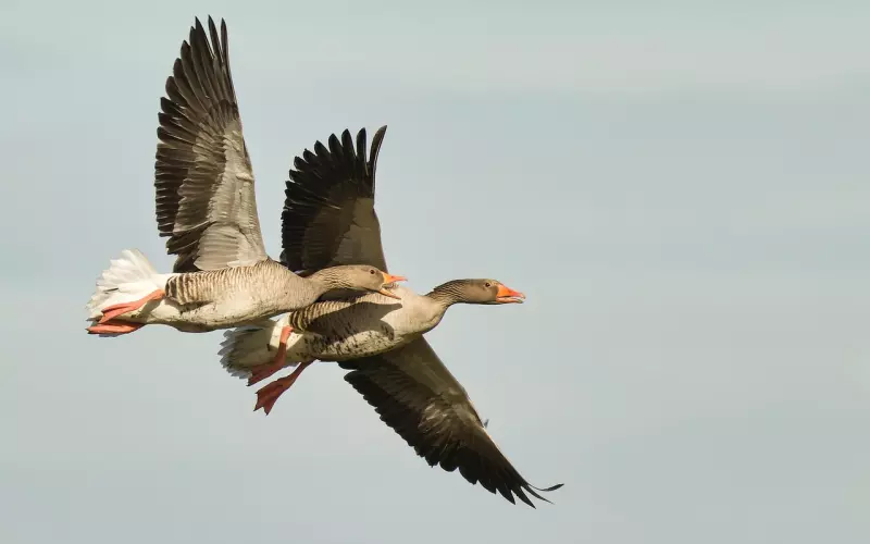 挽回阶段中的复合成功率判断