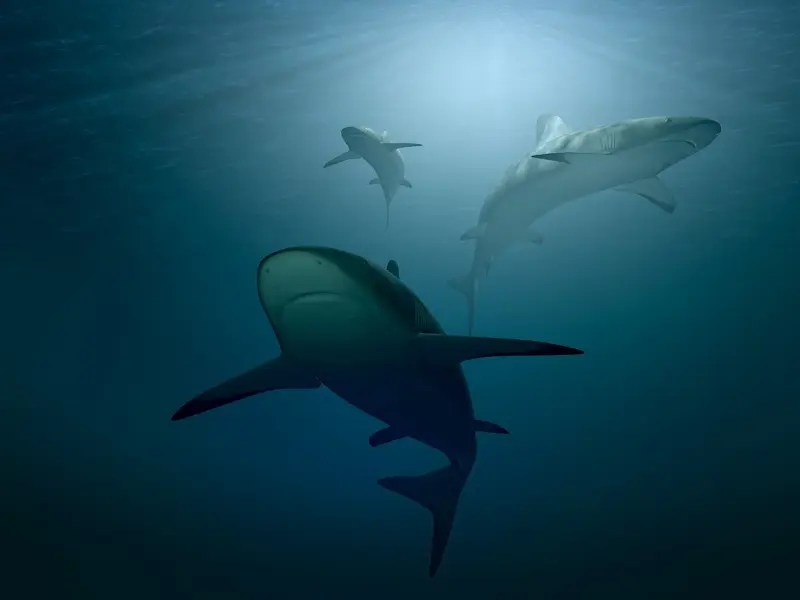 只需3招，就能让前任拜倒在你的石榴裙下