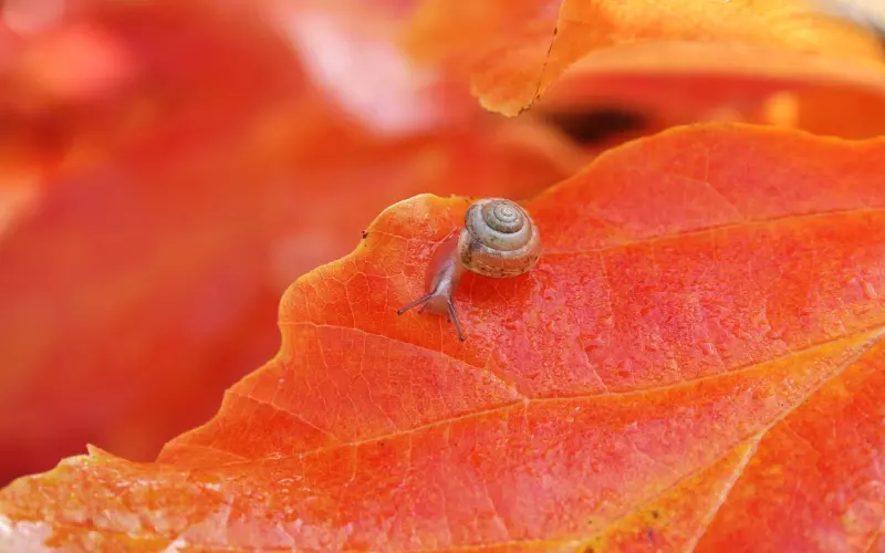 只需要5步，维系好你的异地恋