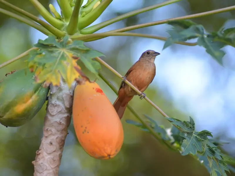 男人到底有多爱你，看他这几点，你就知道了！