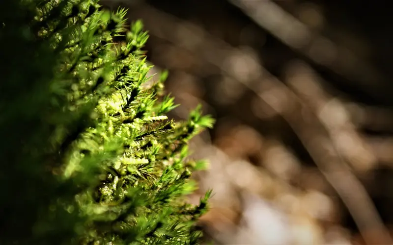 活着，开心就好！（说的真好）