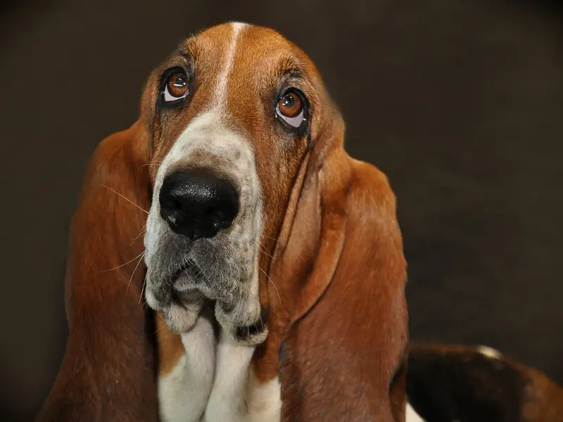 聊天只要用这一句话，女生和你就能聊不停