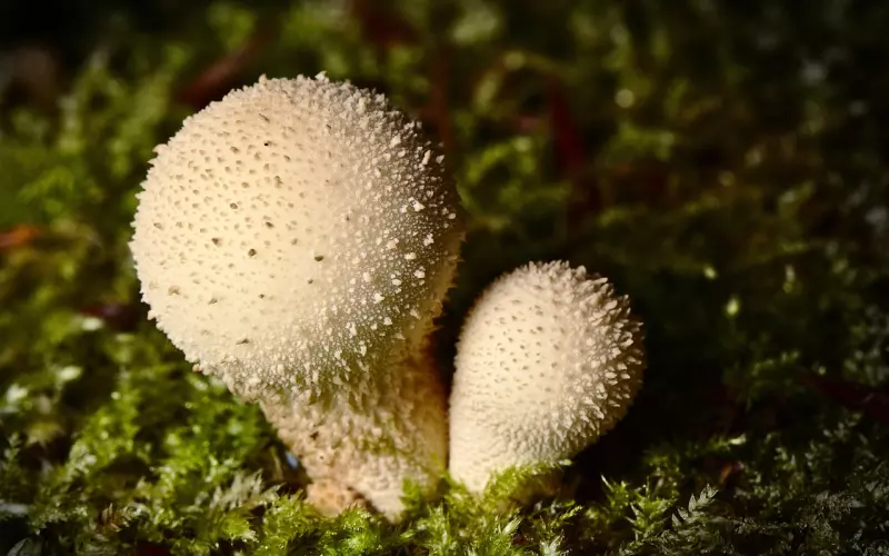 阚清子纪凌尘分手：在感情中，最可怕的是这种事