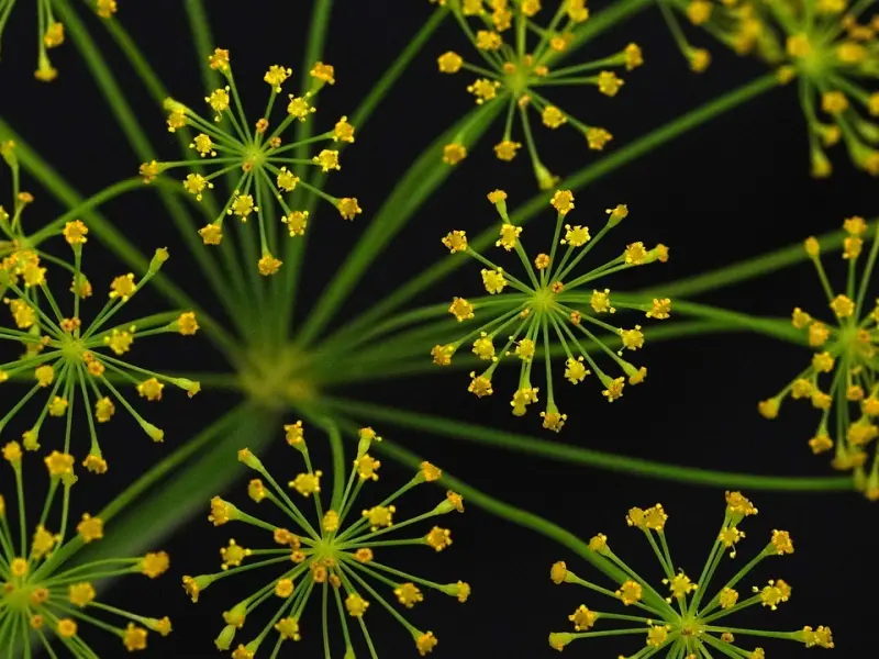 知道这几点，增加你挽回前任的成功率？