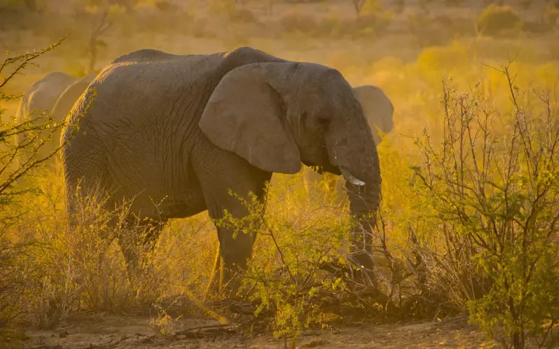 吴亦凡恋情大返转：一场心机婊与花心男的对决？
