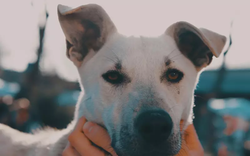 缺乏信任？用这5招“充满”信任值