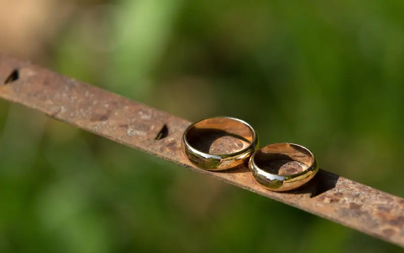 陆虎姐终获真爱  怪兽岛2官网惊现结婚视频