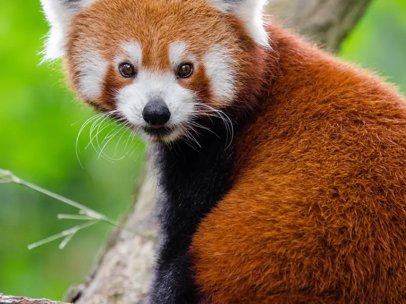 深夜福利丨99%的人都没看出图中的爱意！