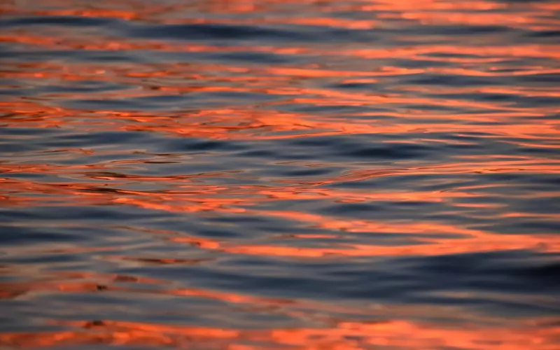 跨越-成为职场达人的黄金法则