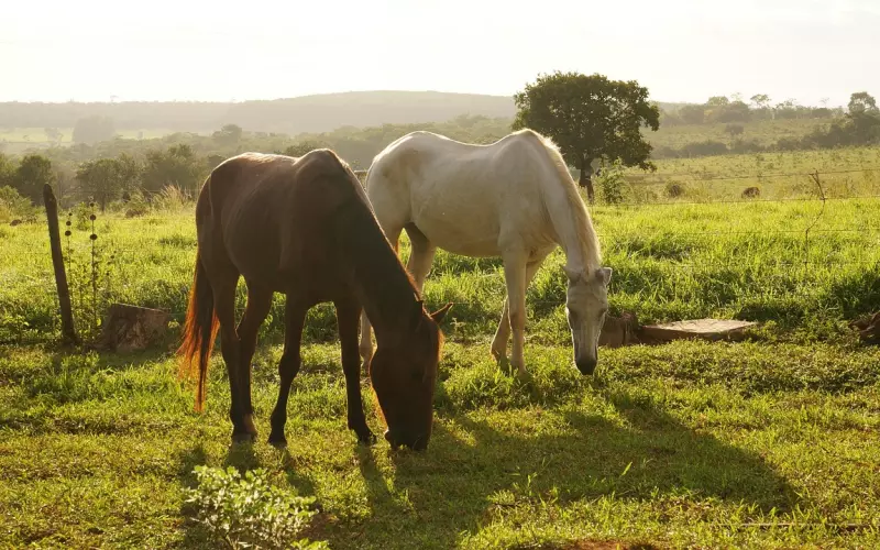 挽回男友学会这样说话，让他回头找你复合!