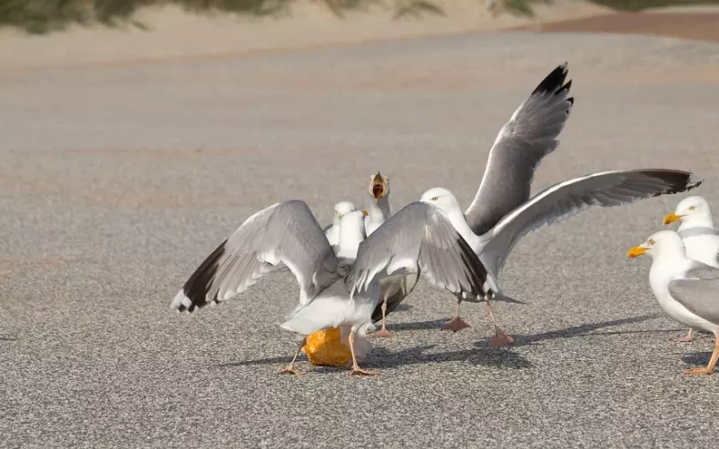 吵架就提出分手心态学 如何挽回男友