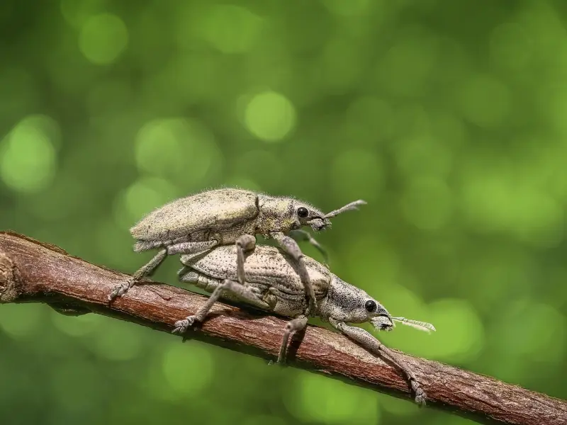 多了解自己常犯的错误