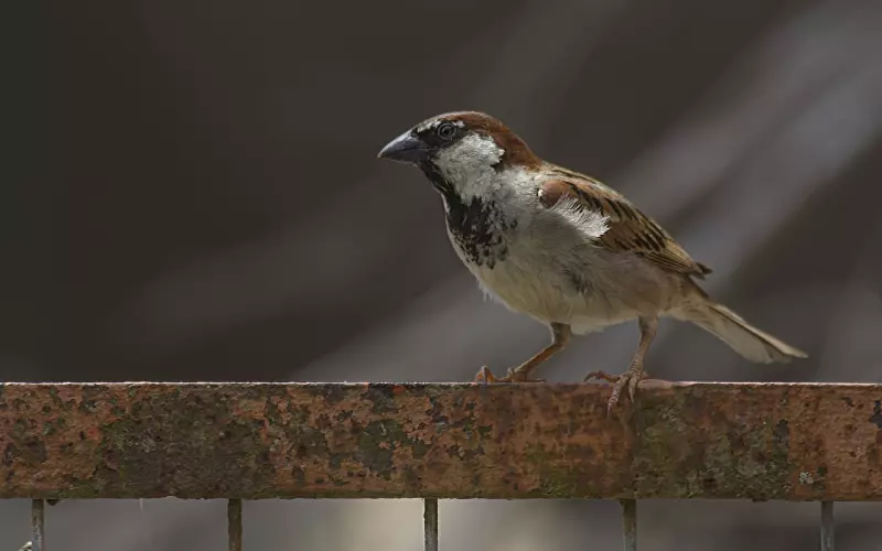 学点挽回心理学：如果一个男人不满足你就是不爱你？