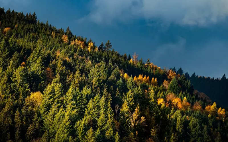 学会这11个字 让爱情长久保鲜