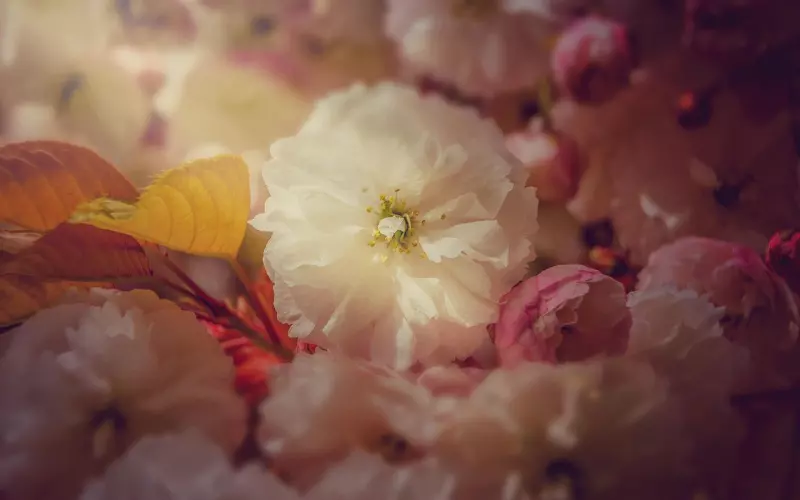 学会三种挽回套路，怎么可能不成功