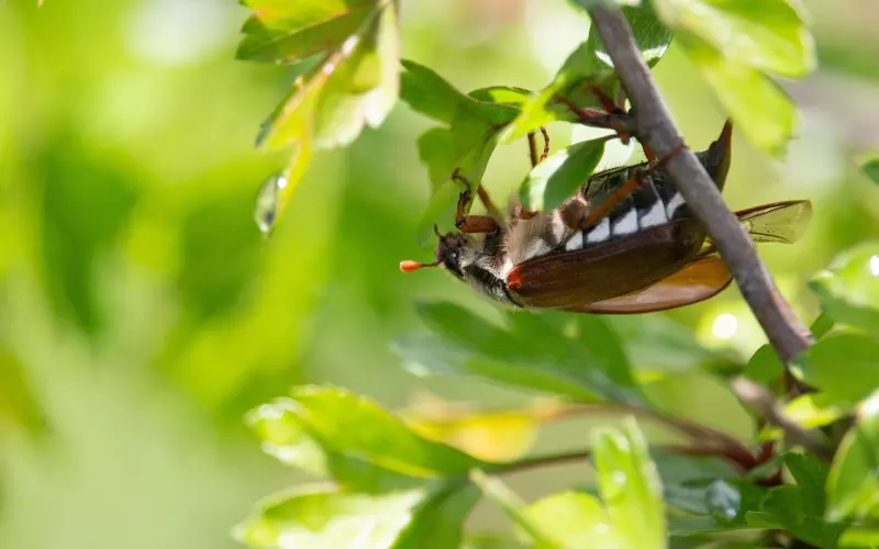 学会三种挽回套路，怎么可能不成功