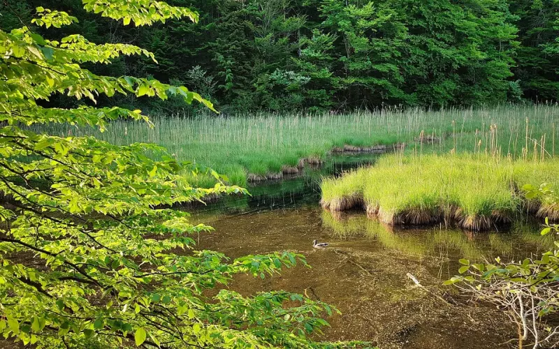 学做高价值女生，在挽回男友的途中才有吸引力