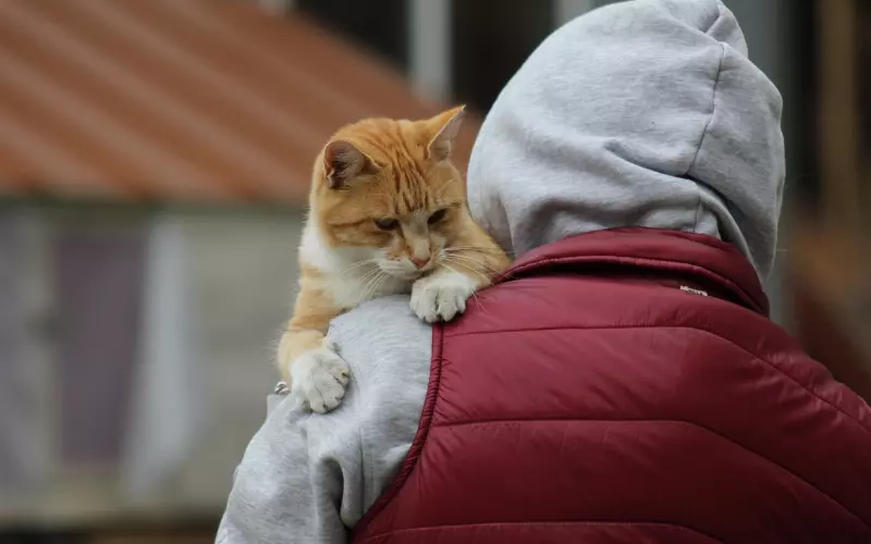 学会和负面情绪共处