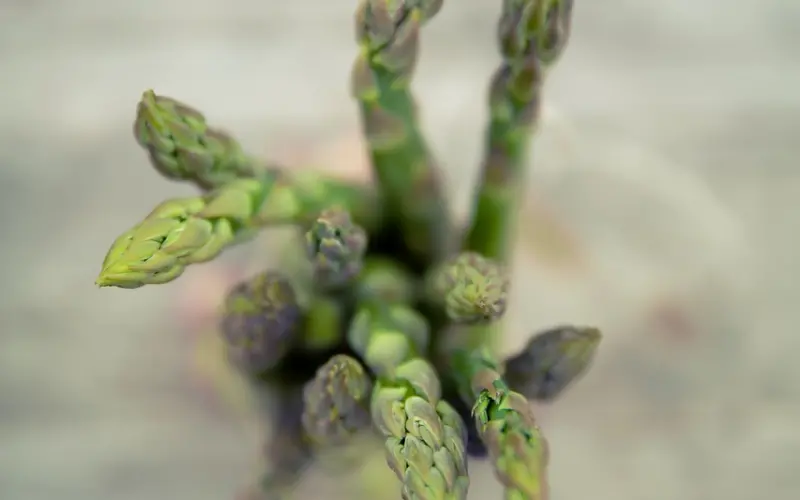 要学会理性看待异地恋！需要学会这3个方法！