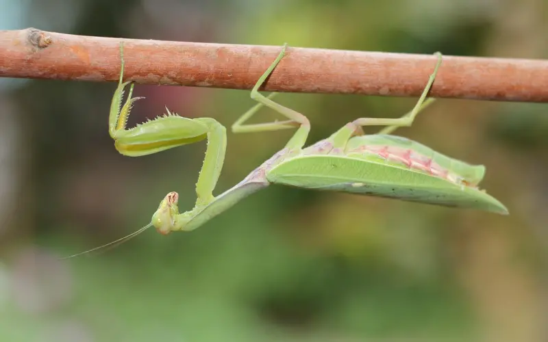 学会一个人走，不管有没有人陪…