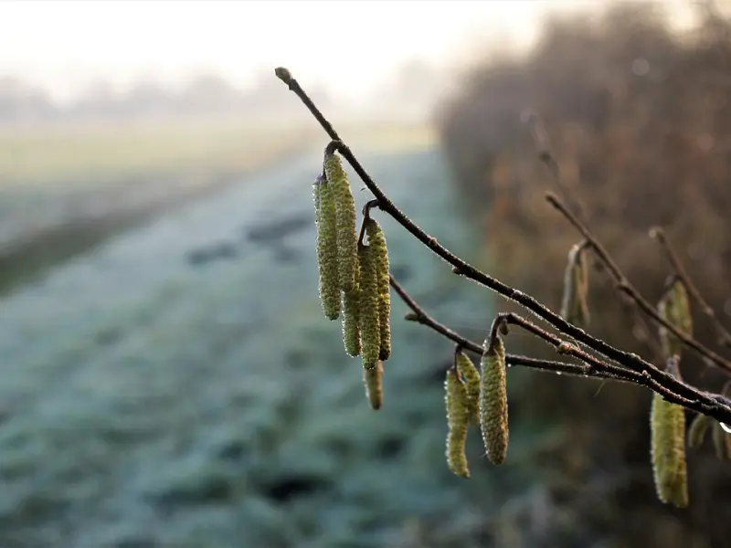 学会这三招可以让你“破镜重圆”！