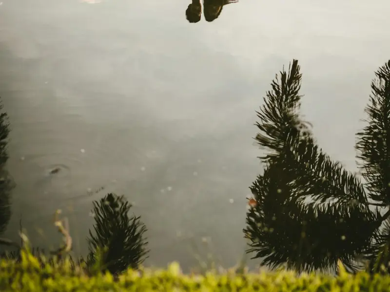 雷佳音、佟丽娅同喝一杯可乐惹出轨绯闻，已婚男女该如何建立边界感？