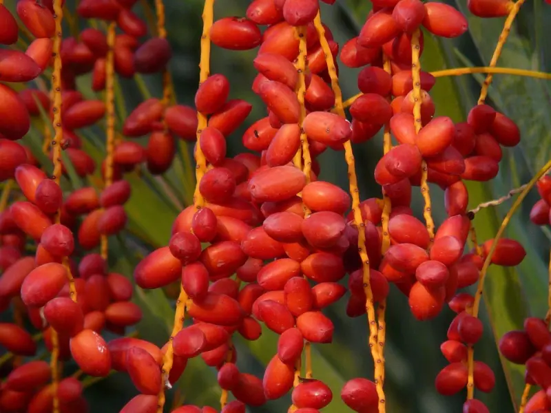 雷语 | 忍无可忍！论一个女人应该有的态度！