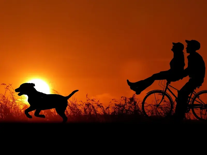 雷语 | 家族和企业的序位法则。