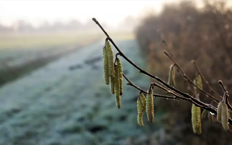 冷爱教你七天找到女朋友 单身必读