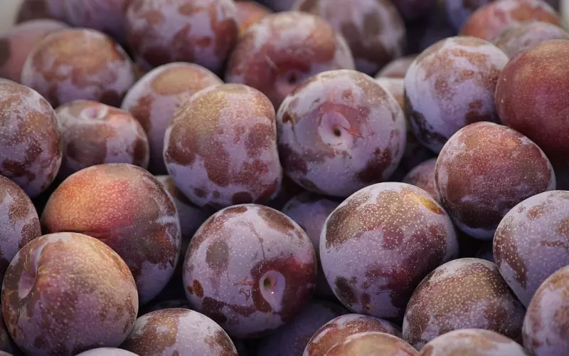 小李子与前任超模女友疑复合？挽回前任并没有那么难