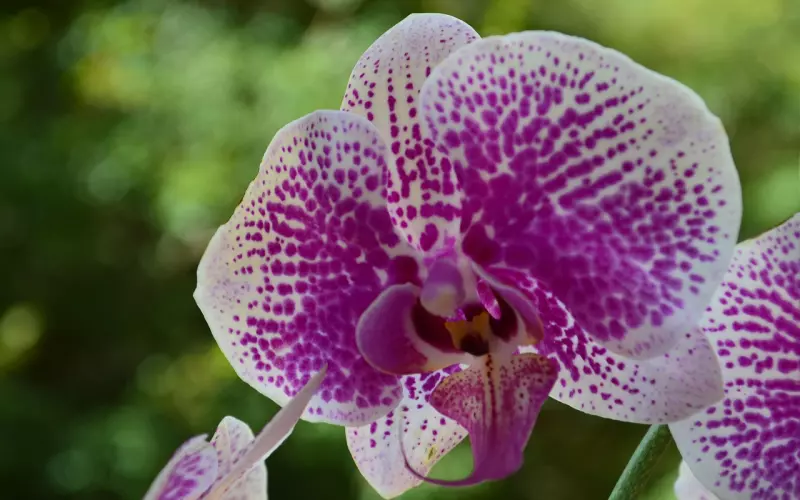 少计较，少争执，因果循环，谁是谁的谁，人在做，天在看