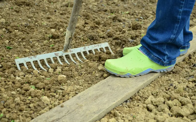 生活顺其自然，老天自有安排