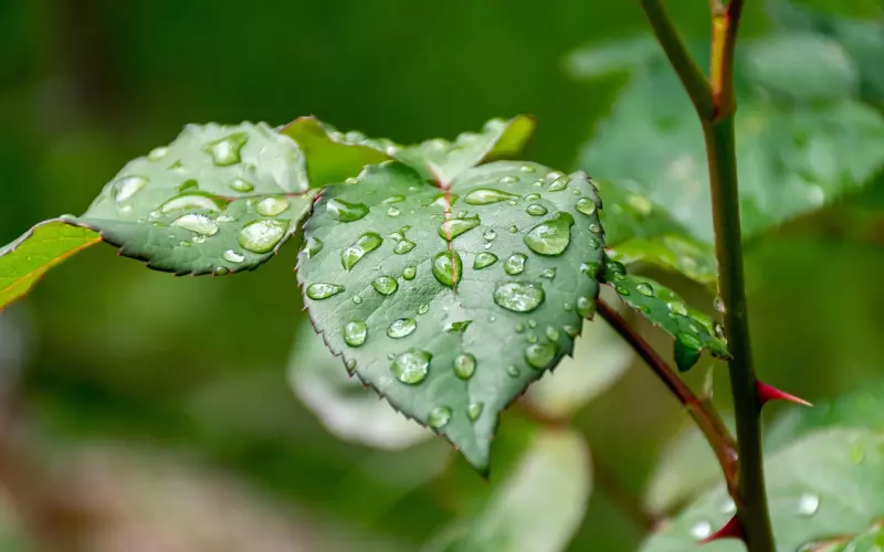让爱不留遗憾：致情感危机者的一封信！