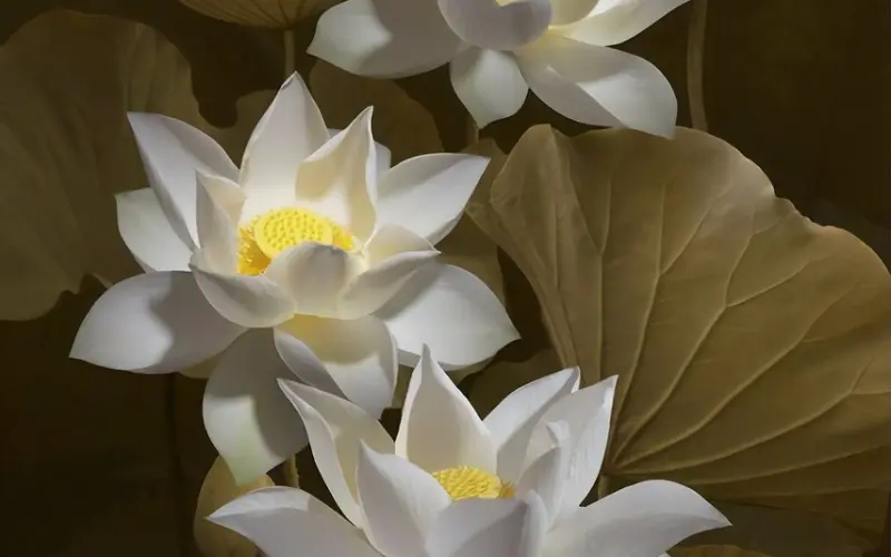 带你了解渣女等级和表现，心机婊、绿茶婊、白莲花如何做妖！