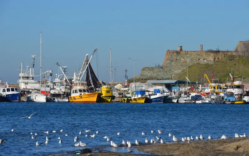 让我们把纯洁的革命友谊，再升华一下