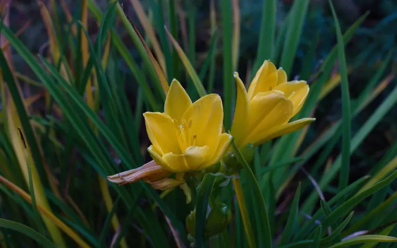 “我们离婚吧！什么原因？——性格不和！”是真心话吗？背后的潜台词是什么？