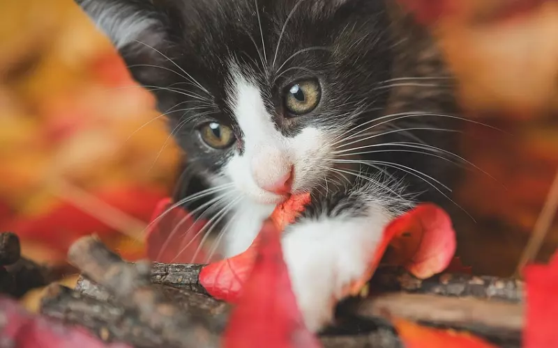 男人让女人最“舒服”的几个动作，一起来学学吧