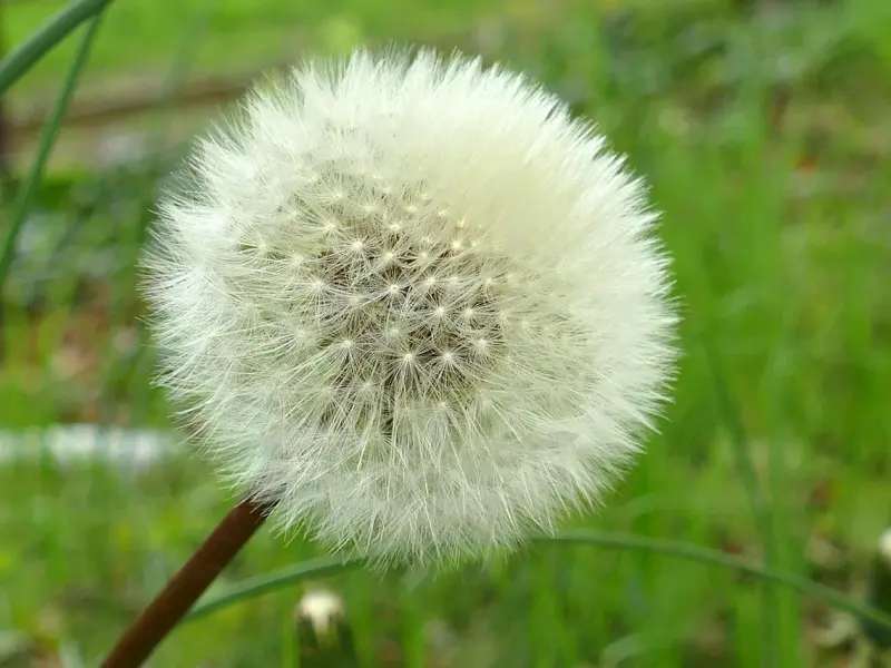 再谈分手性质——真假性分手的不同挽回方法