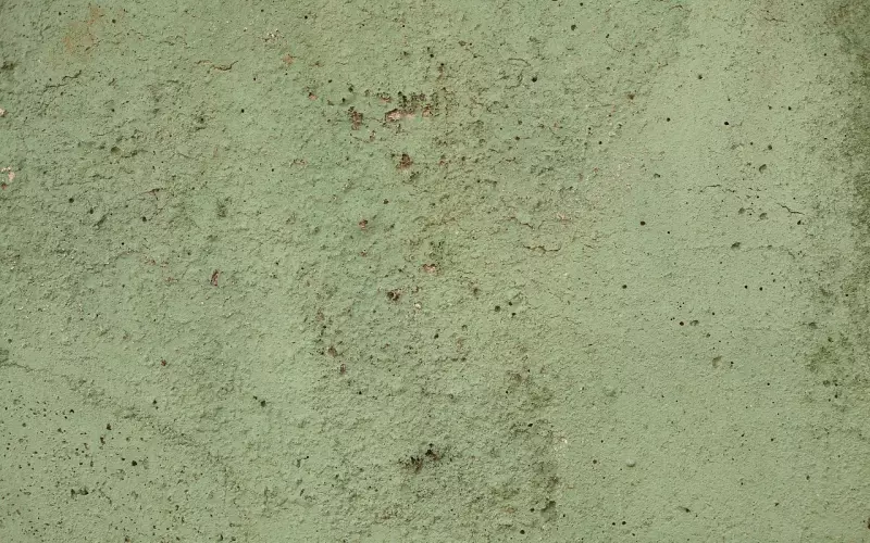 朋友圈深入人心的短语说说，句句写进心窝里的微信说说！