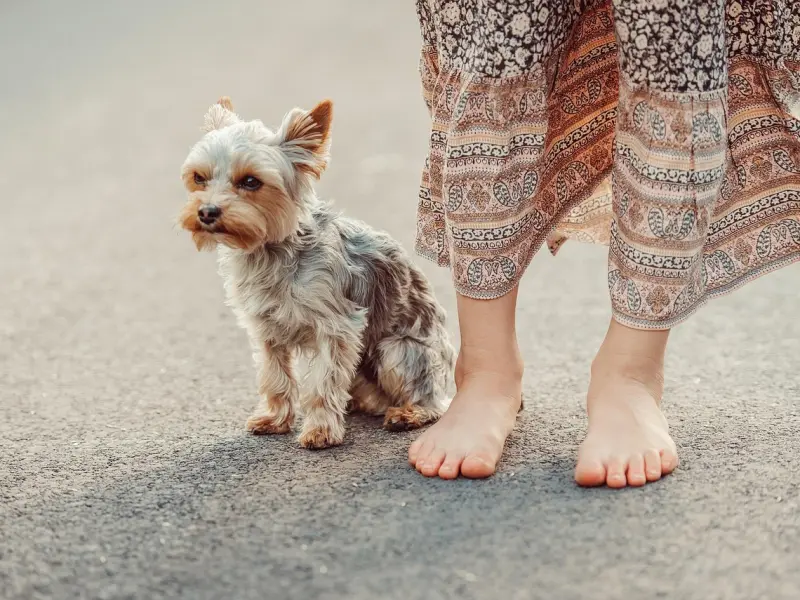 挽回婚姻写给老公的信：分手后想挽回丈夫该怎么做？