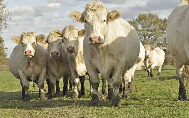 让对方来挽回你，才是挽回爱情最牛的办法。